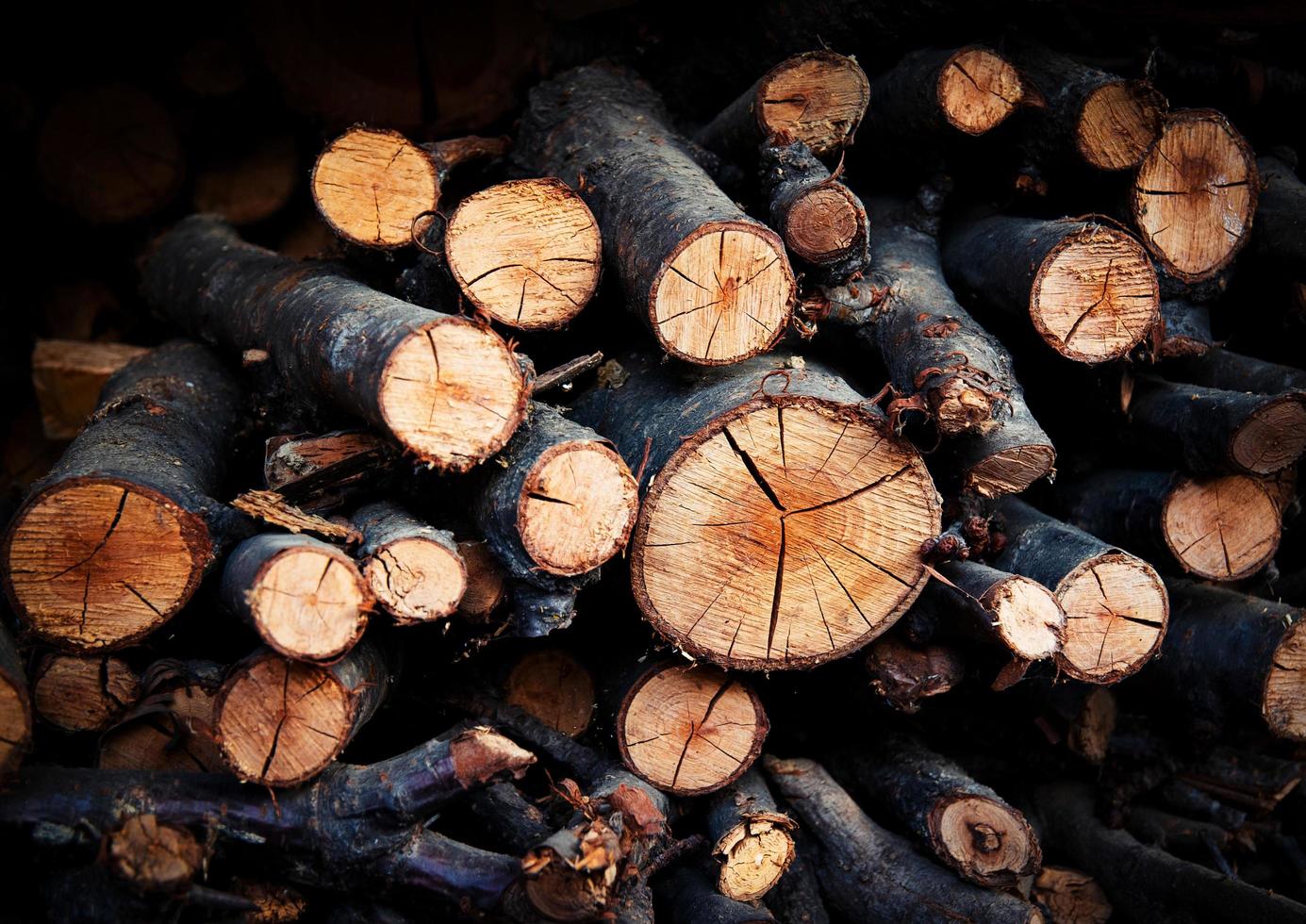 Pile of wooden logs photo