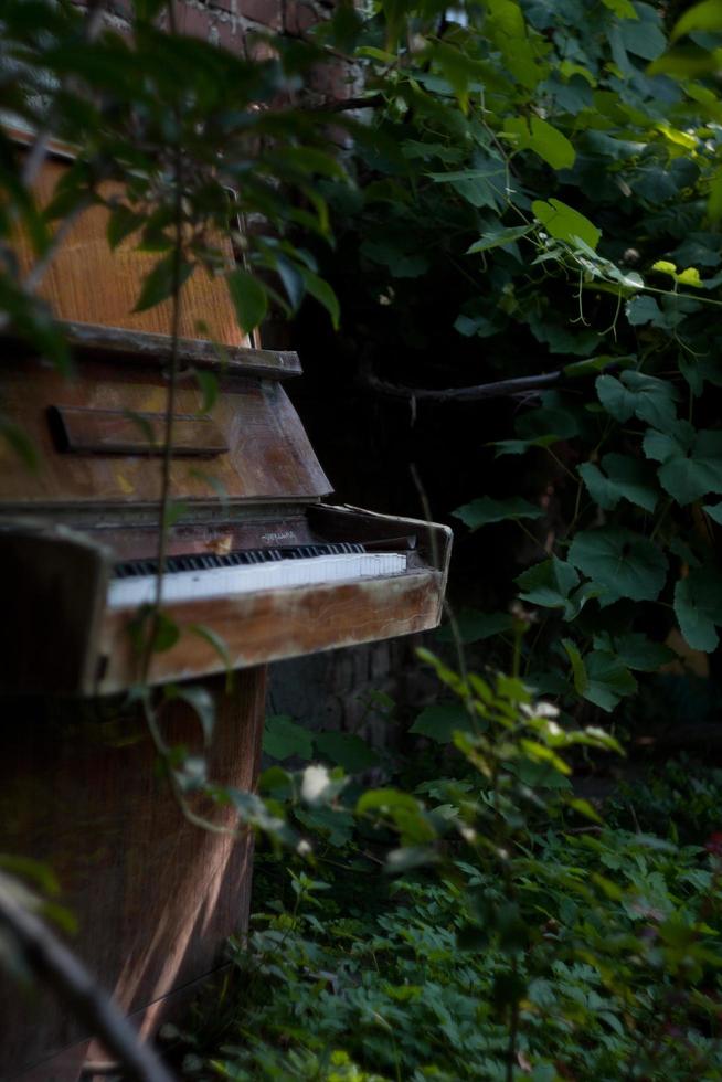 Piano de pie rodeado de arbustos en un jardín. foto