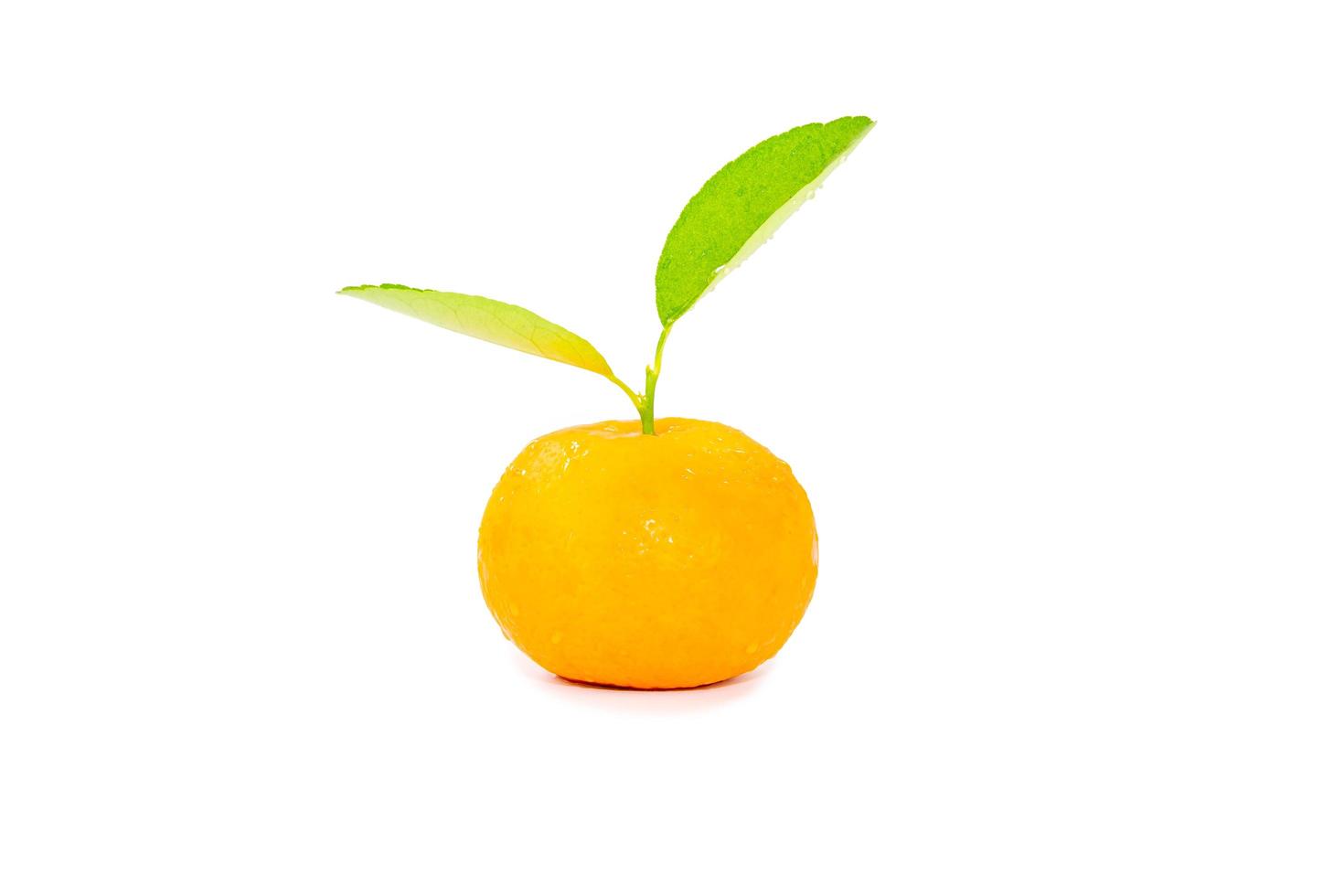 Single orange with stem and leaves isolated on white background photo