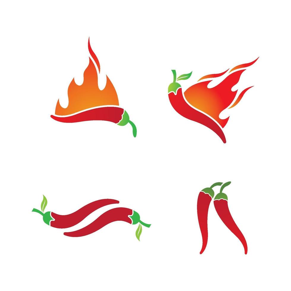 Chili images illustration vector