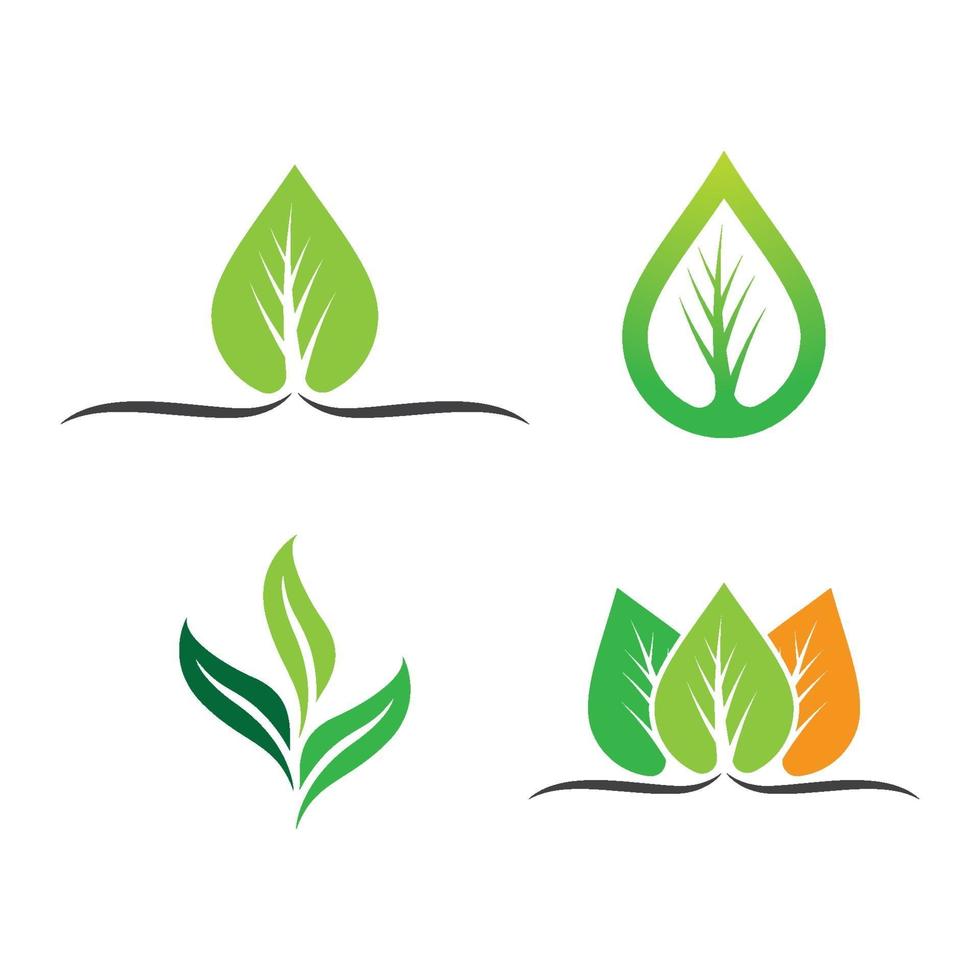 imagenes de logo de hoja vector