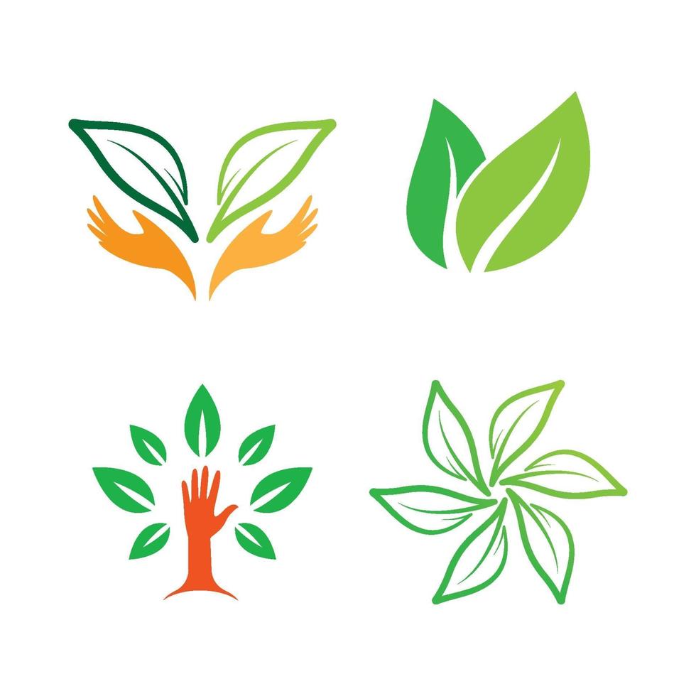 imagenes de logo de hoja vector