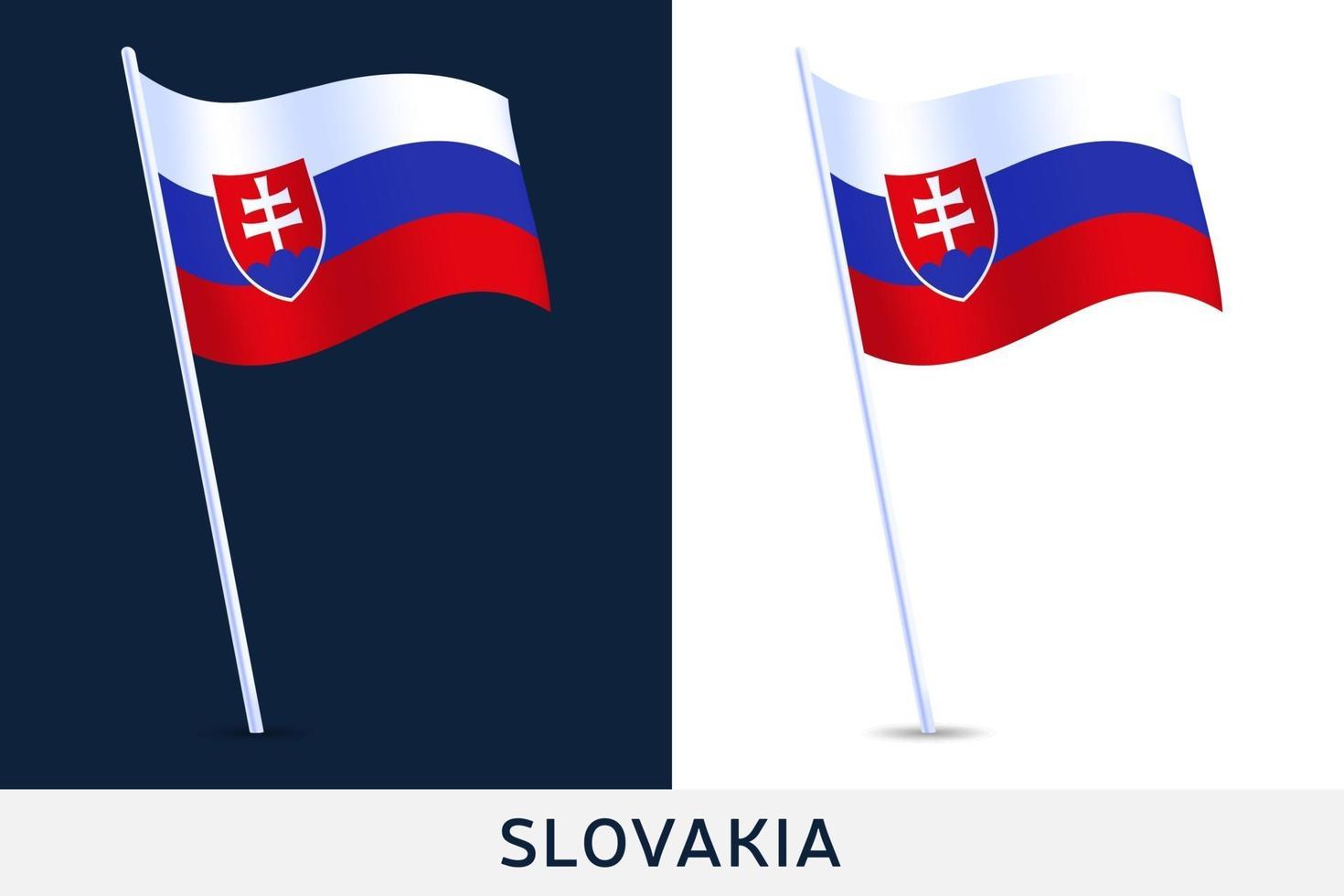 Slovakia wave flag vector