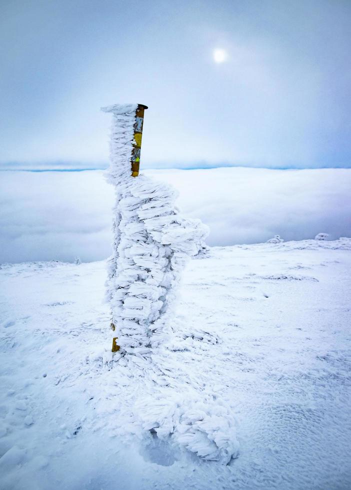 Snow and ice-covered sign photo