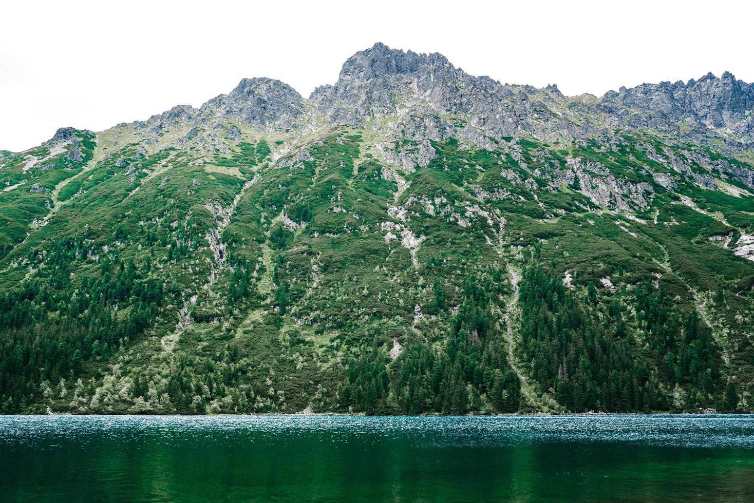 lago alpino en verano foto