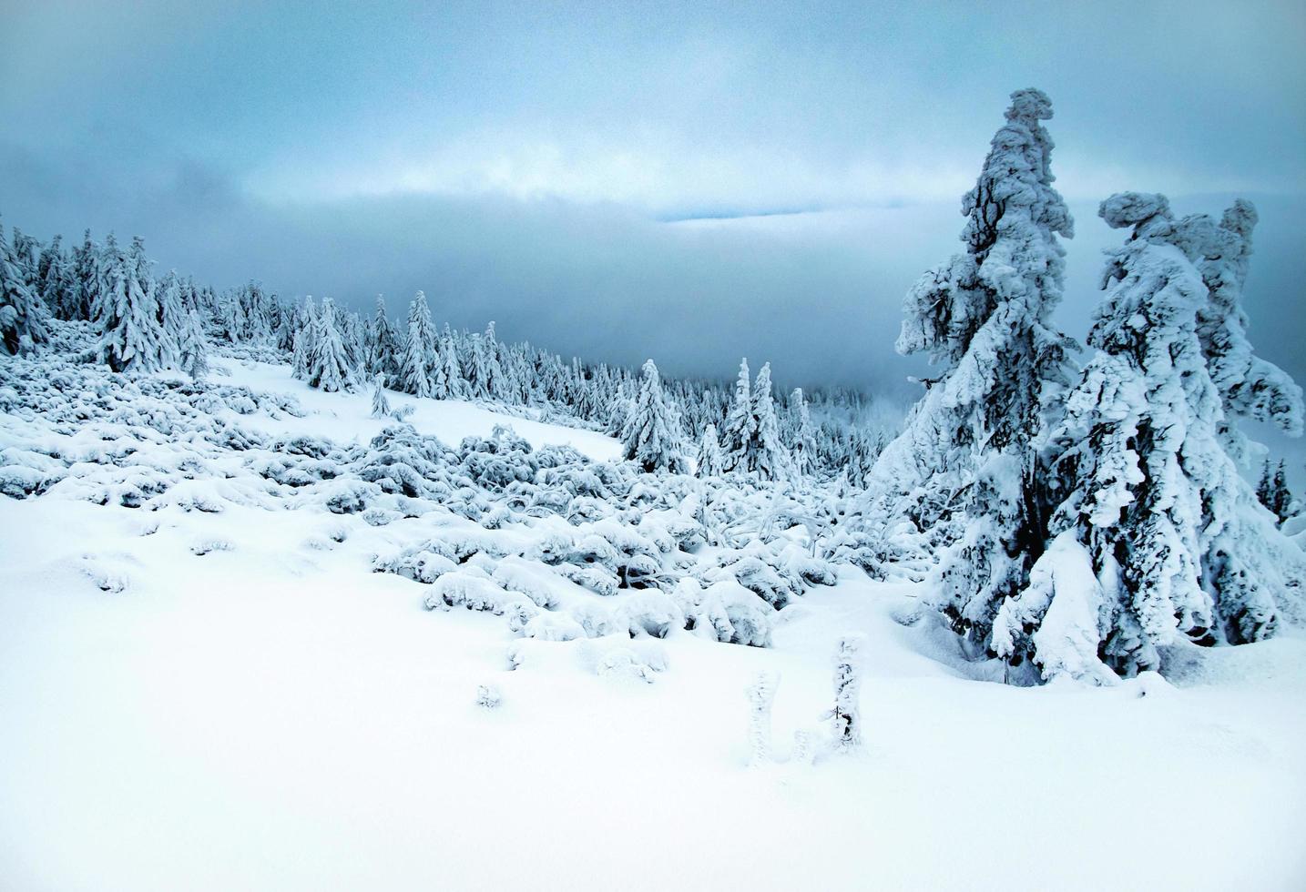 Gloomy winter landscape photo