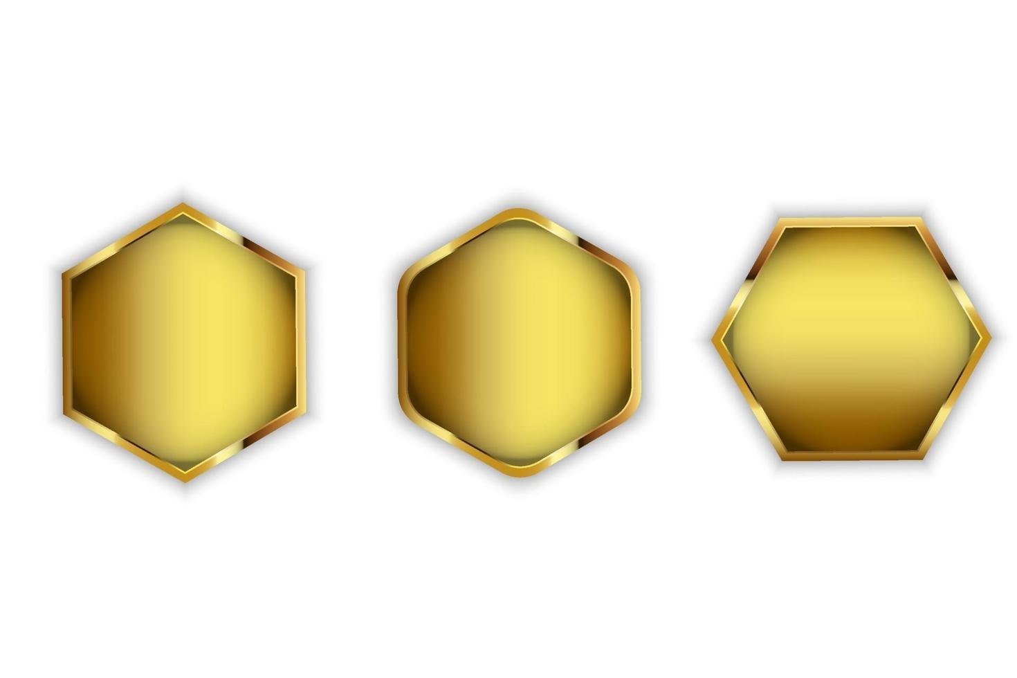 Shiny Gold Hexagon Collection vector