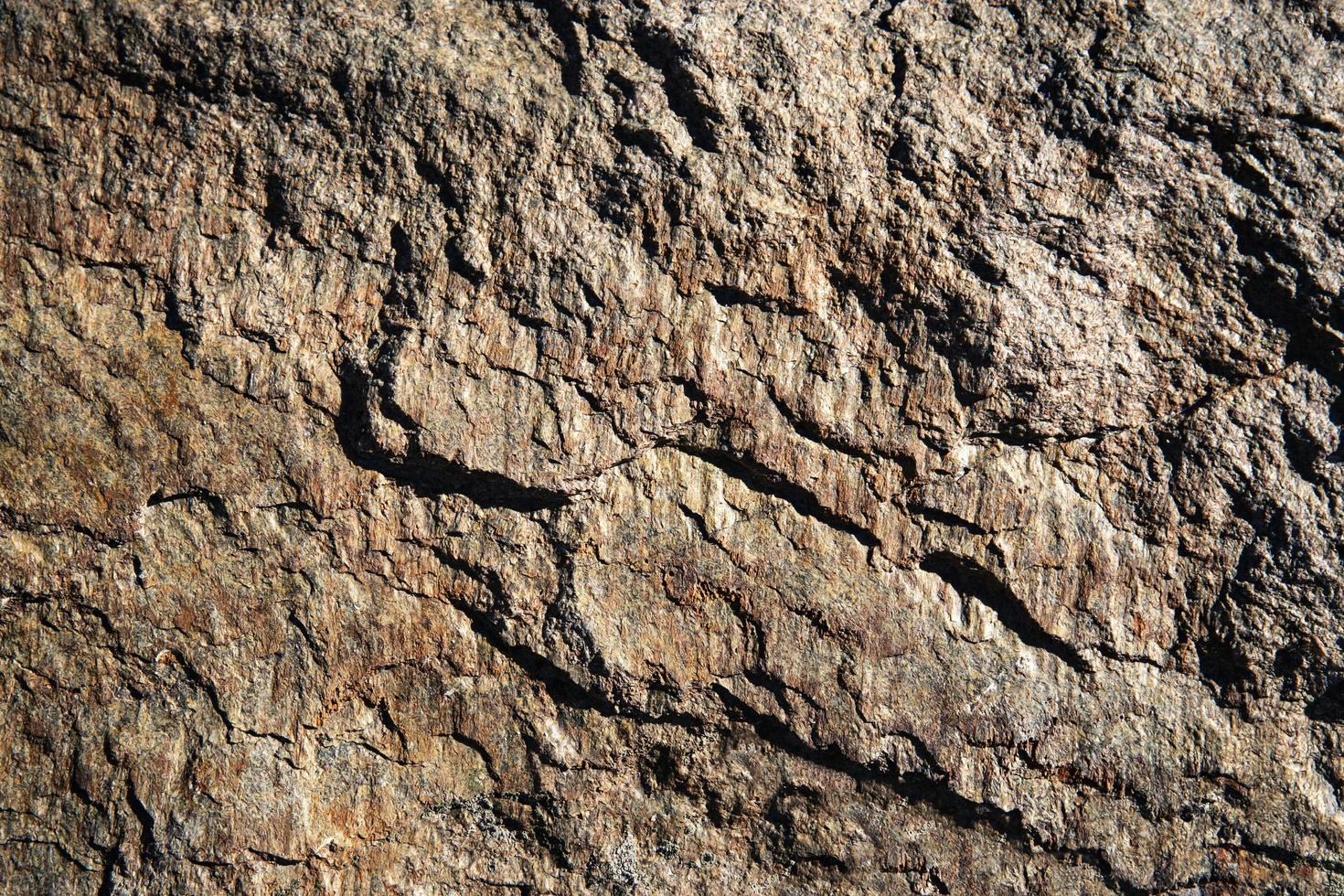 Detail of rock photo