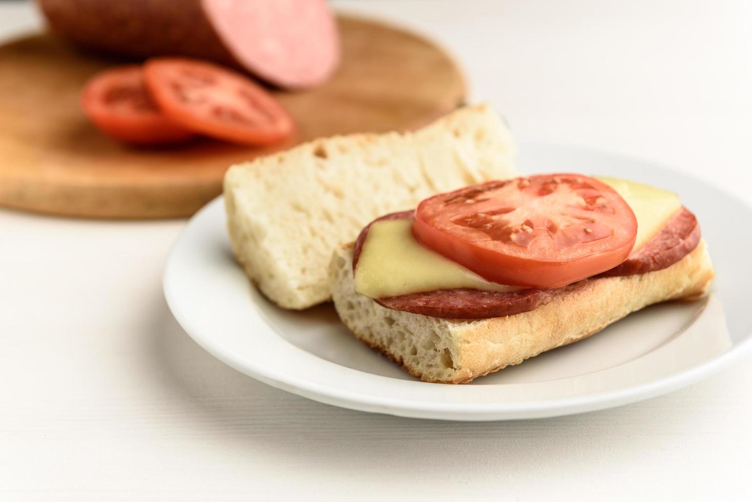 Hot sandwiches with tomatoes photo