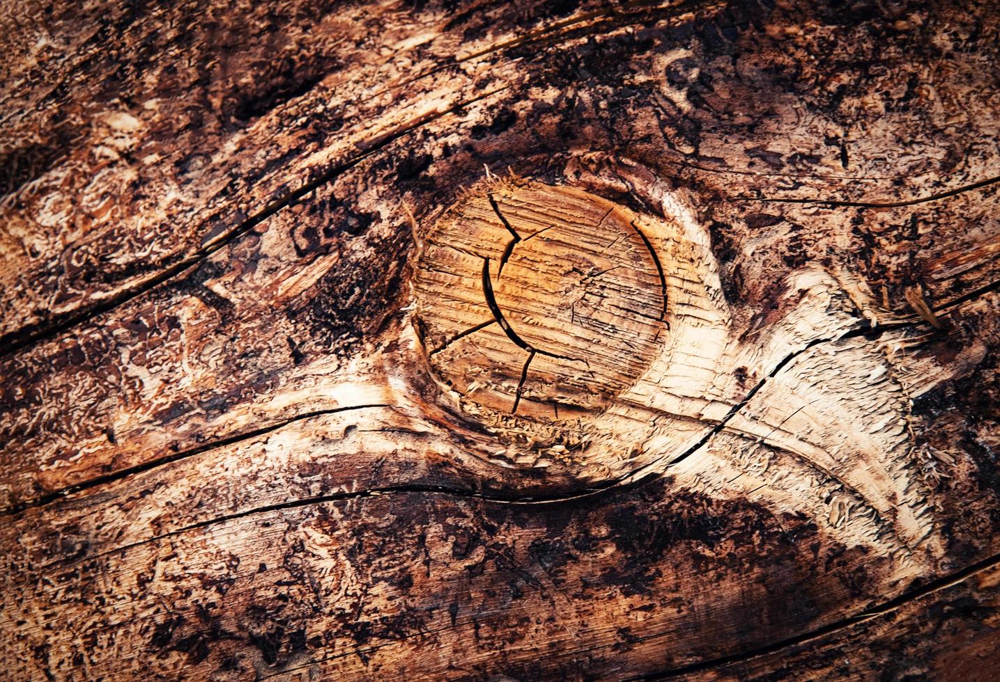 Detail of a branch photo