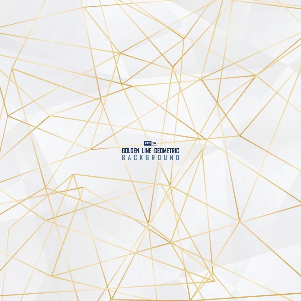 Abstract white polygonal geometric design arwork with golden line pattern background. illustration vector eps10