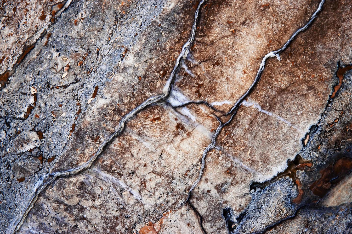 Cracked old wood photo