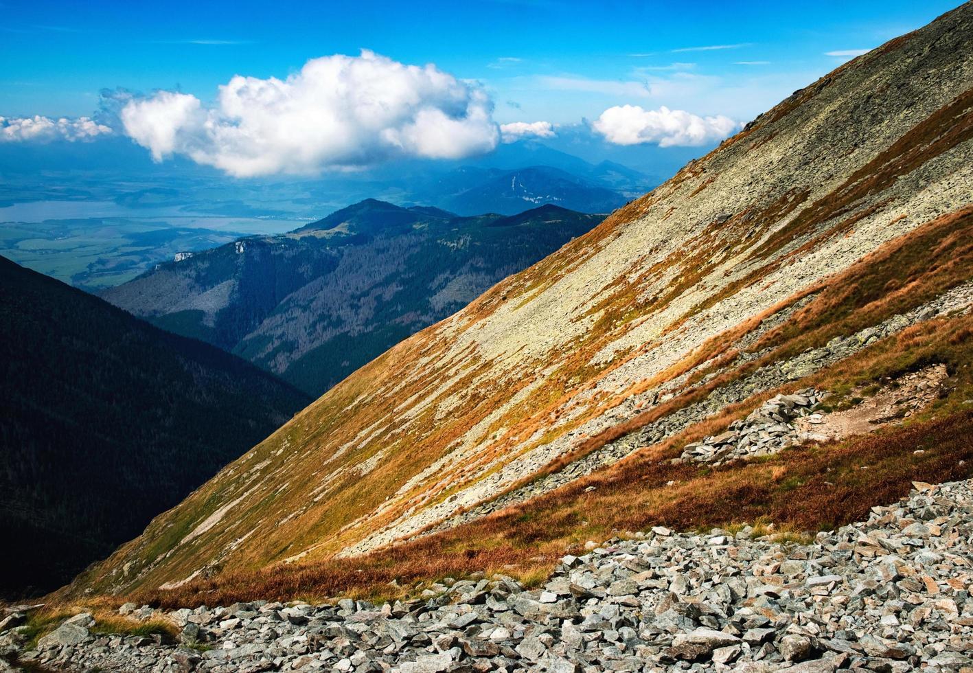 pasto marrón en la ladera de una montaña foto