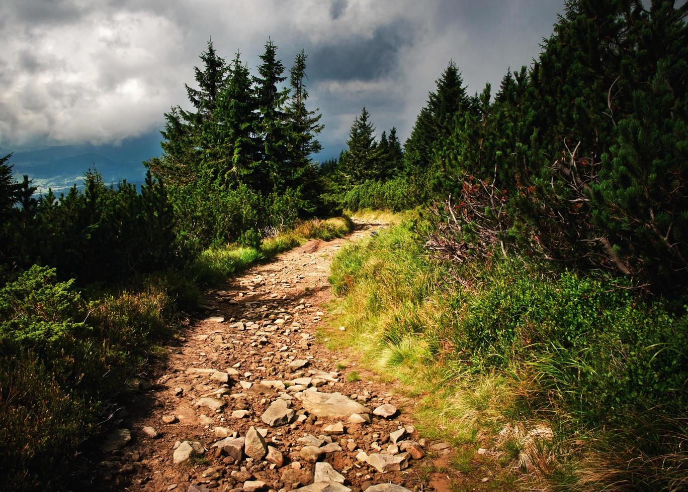 Gravel trail high in the foothill zone photo