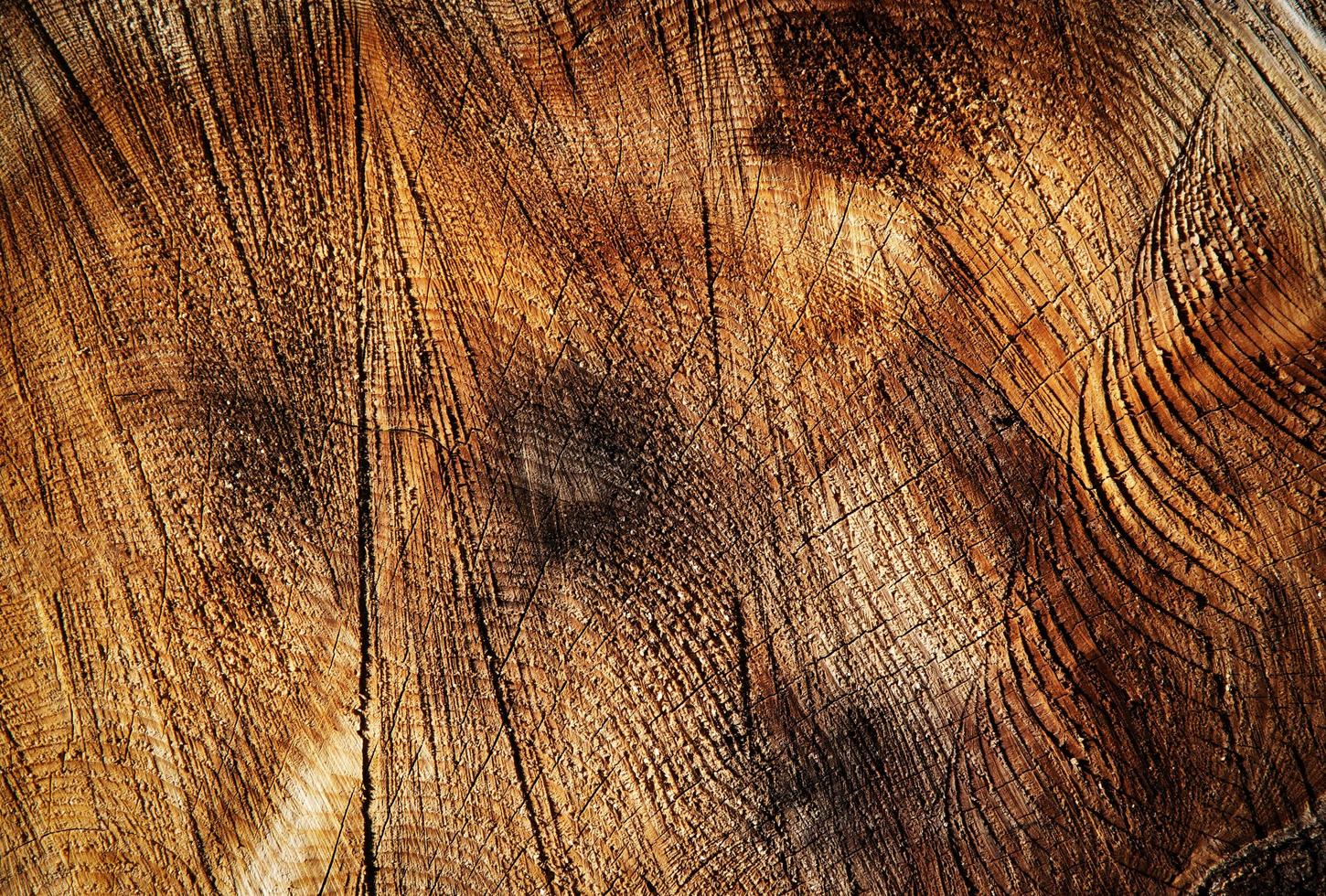 Rustic old wood photo