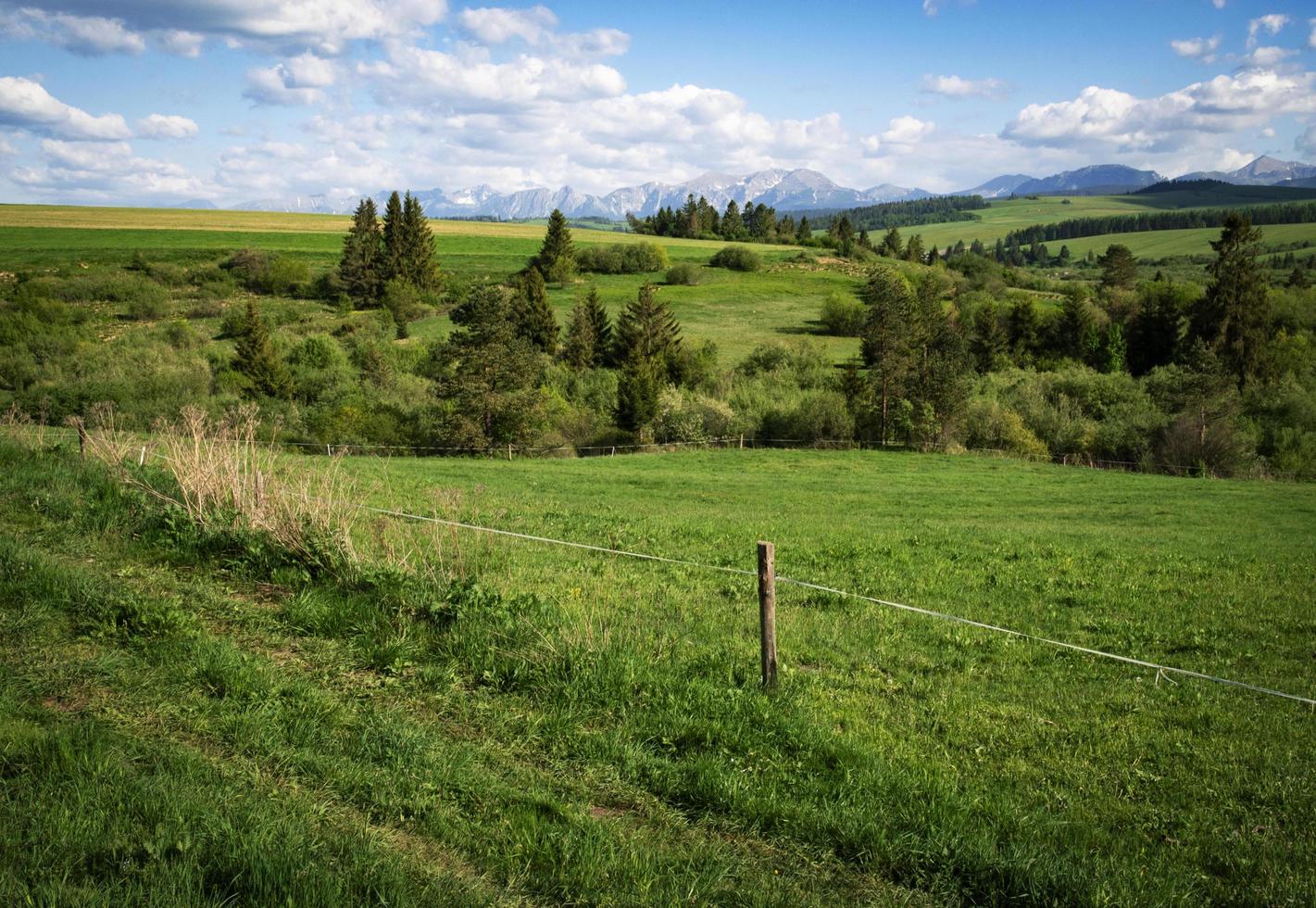 Mountain scenery with meadows photo