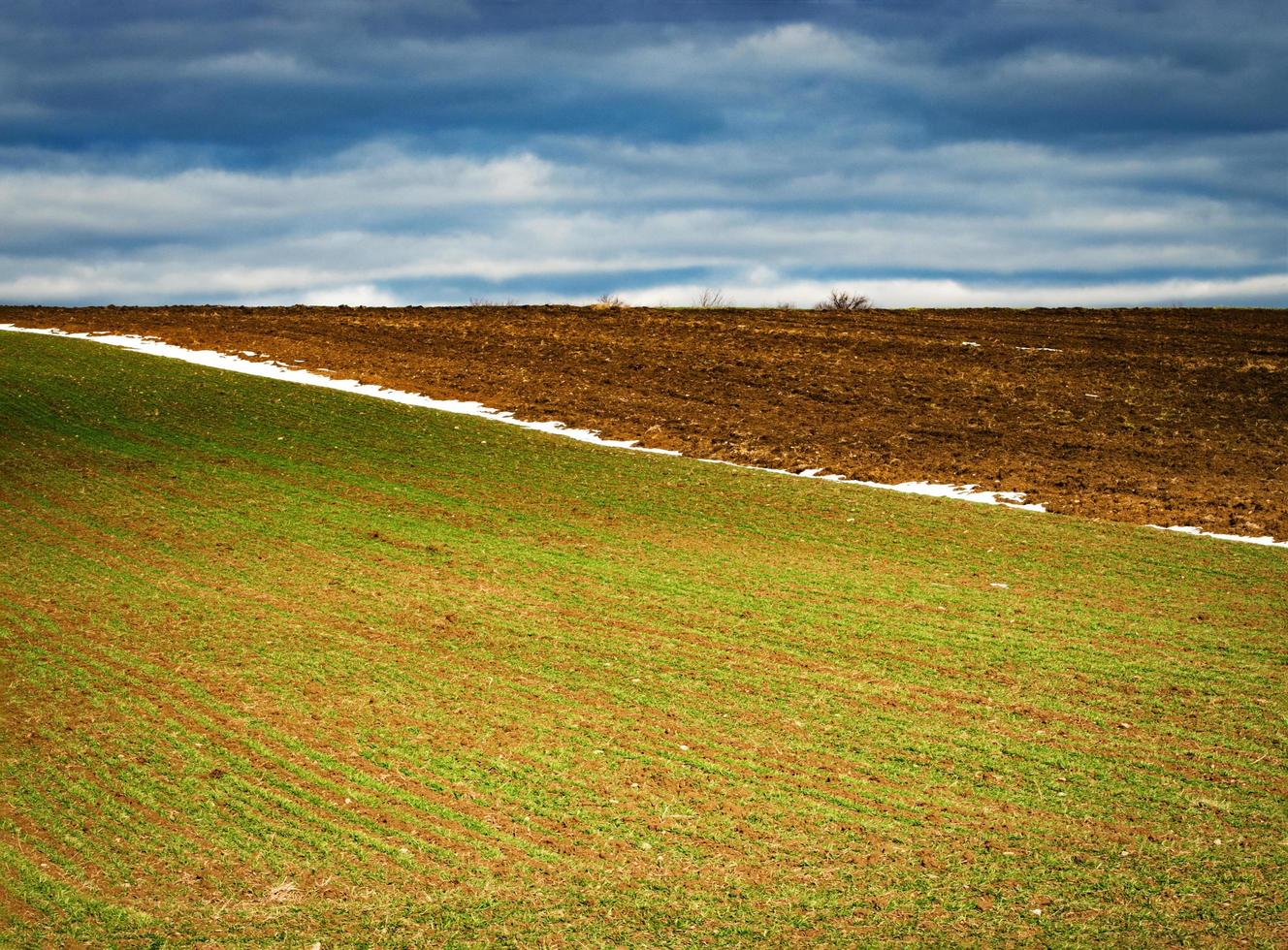 campo minimalista en la primavera foto