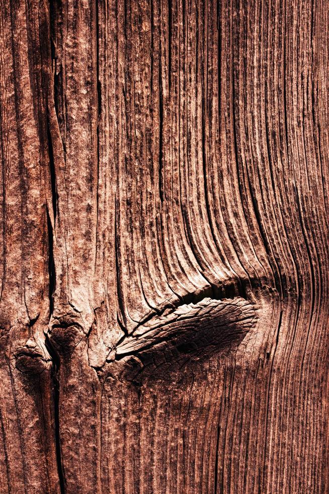 Old weathered brown wood photo