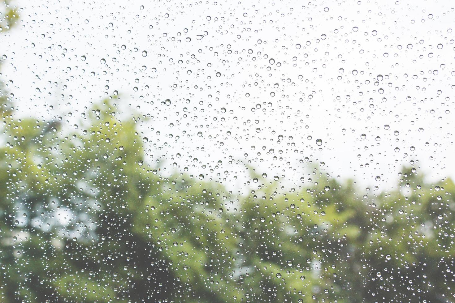 gotas de lluvia en un vaso foto