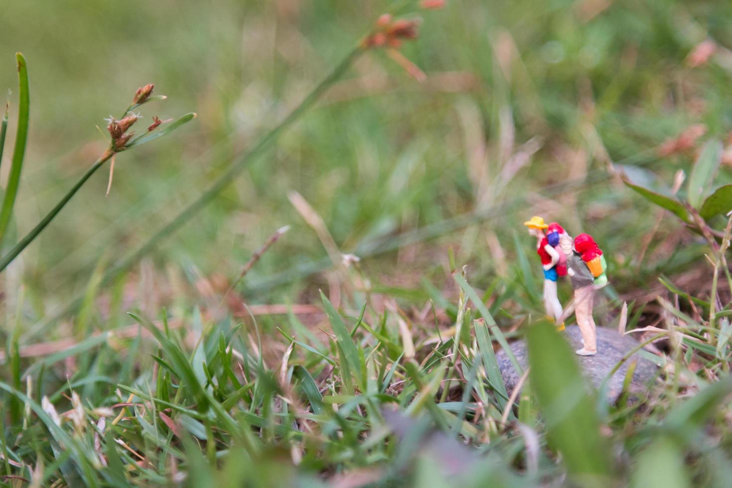 Miniature travelers with backpacks standing and walking in a meadow photo