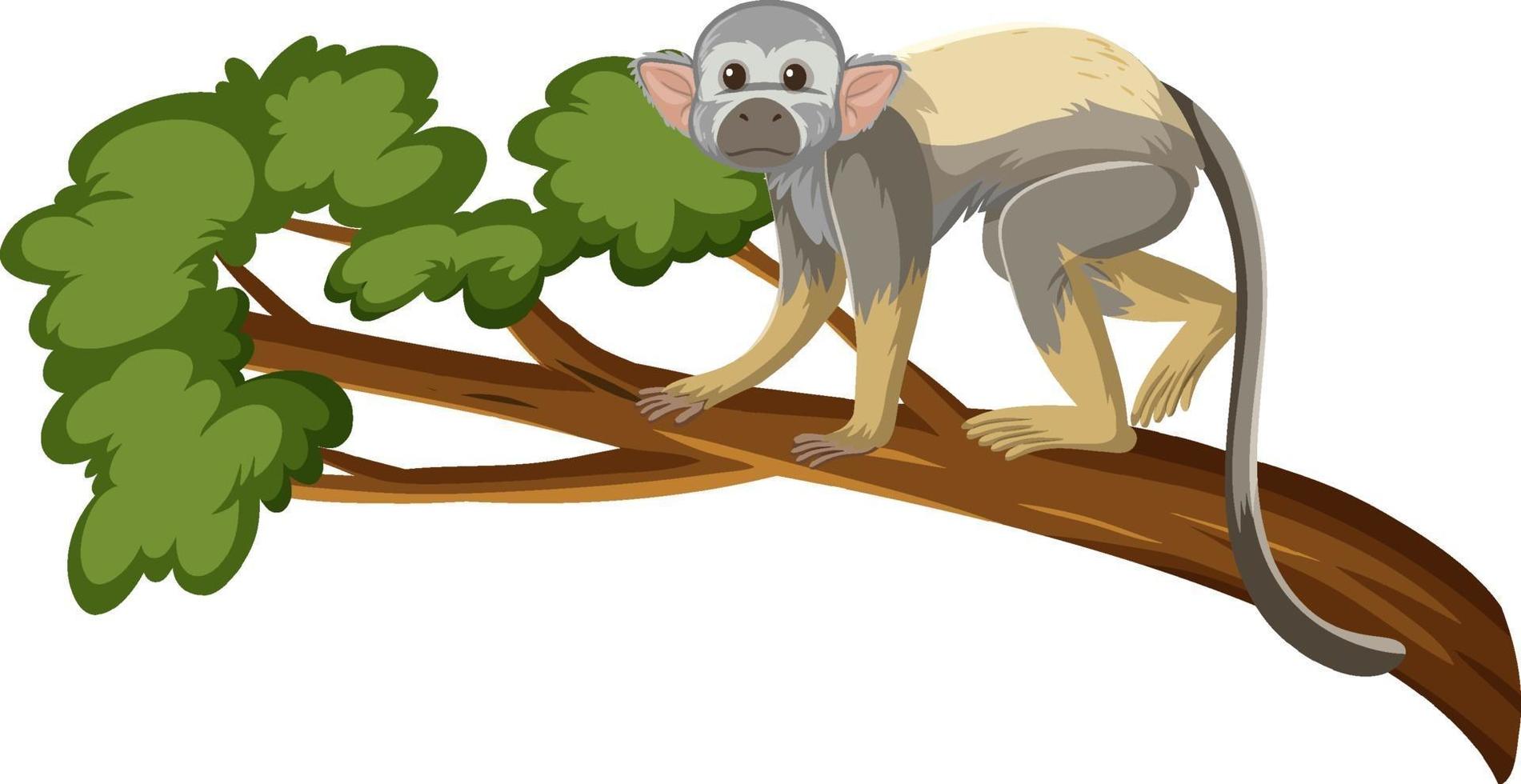 Squirrel monkey cartoon character on a branch isolated on white background vector