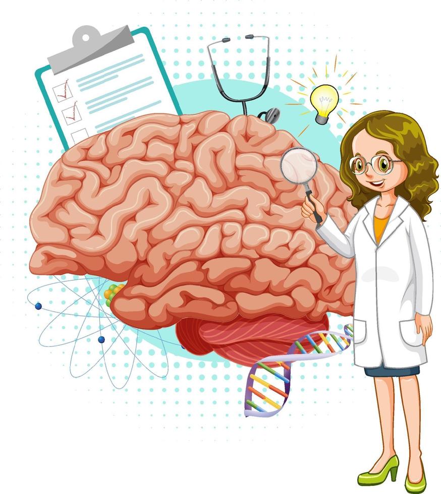 Doctor and brain on white background vector
