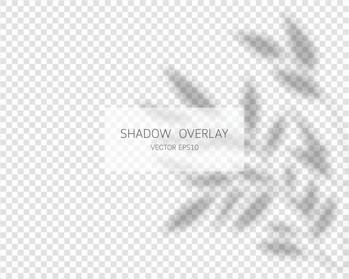 efecto de superposición de sombras. sombras naturales aisladas vector