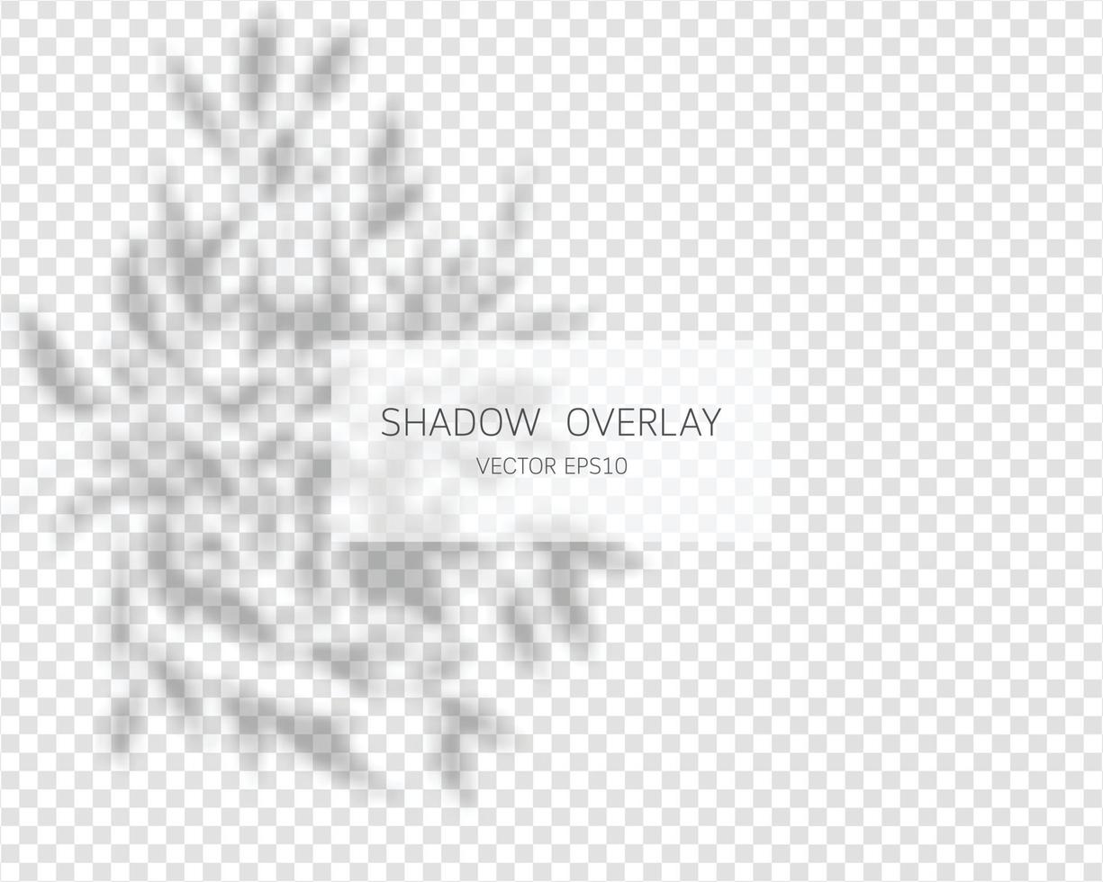 Shadow overlay effect. Natural shadows isolated vector