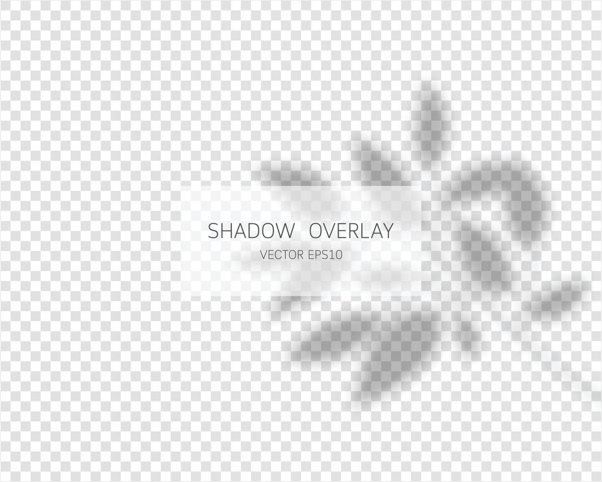 Shadow overlay effect. Natural shadows isolated vector