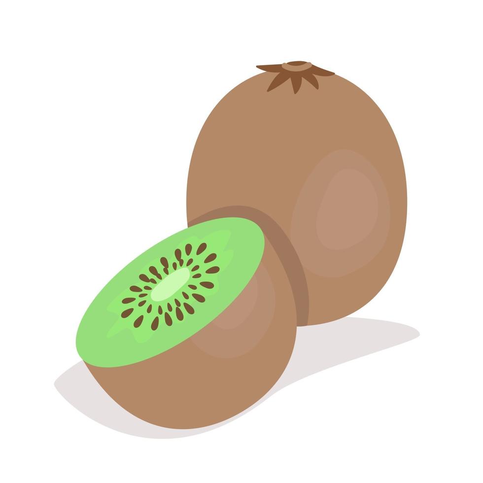 One whole kiwi and a half, kiwi in cut, ripe juicy fruit, vector illustration in flat style.