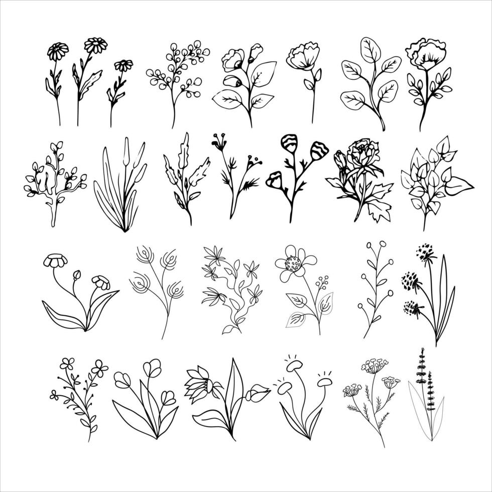 Doodles Herbs and flowers, set of hand-drawn flowers, floral set of wildflowers and herbs, vector objects isolated on a white background.