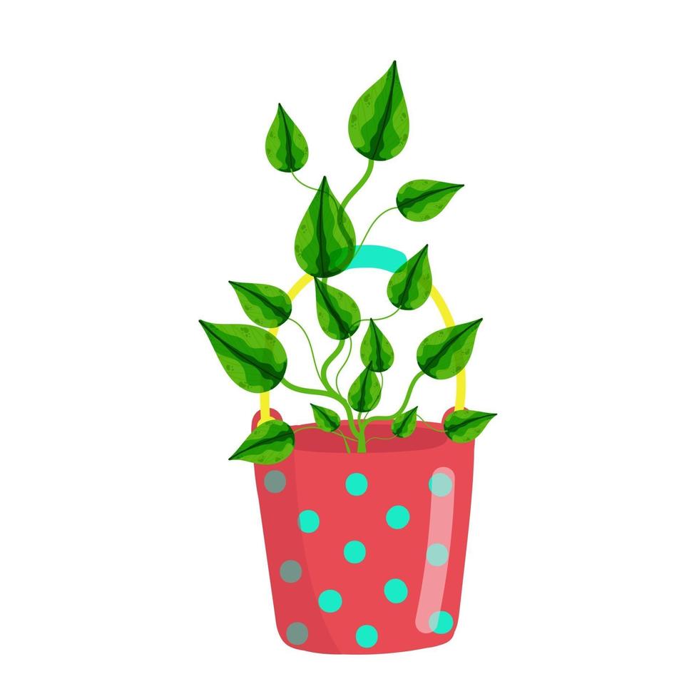 Houseplant Epipremnum Aureum in a red polka dot bucket, homemade flowers in cartoon style, vector object, hand draw, isolate white background.