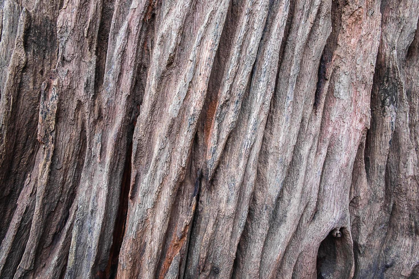 textura de madera rugosa foto