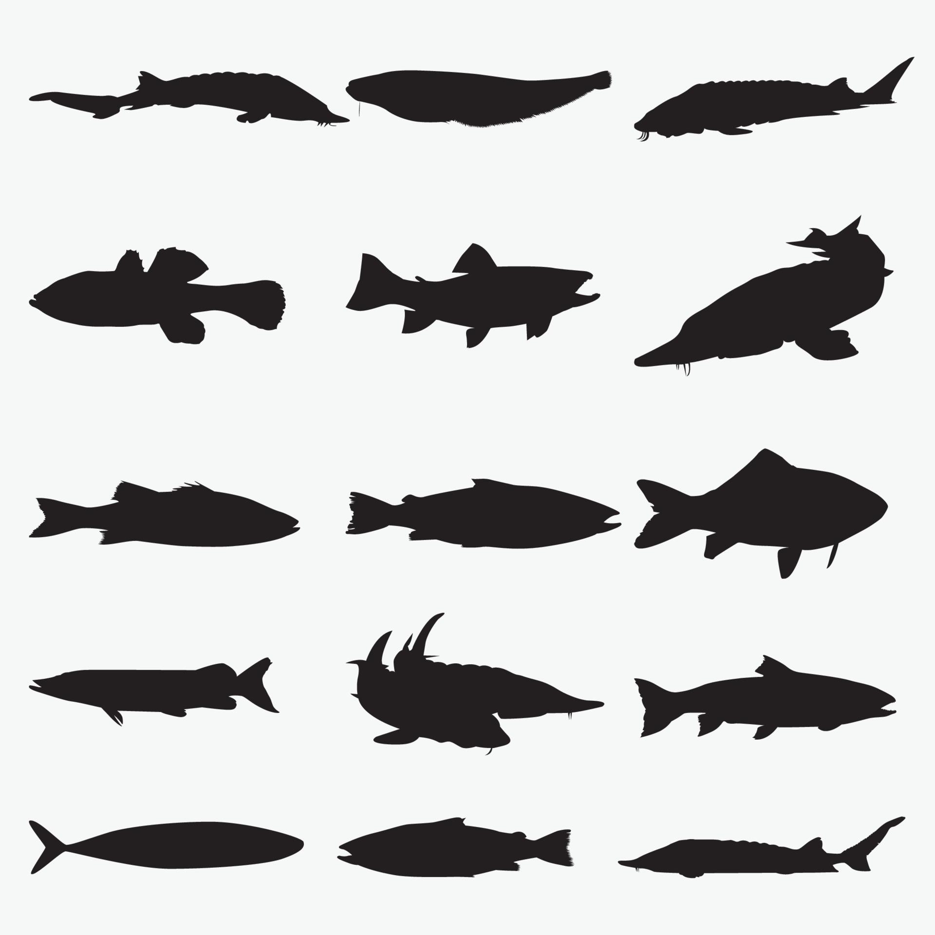 Fish Silhouette vector design templates set 2159099 Vector Art at Vecteezy