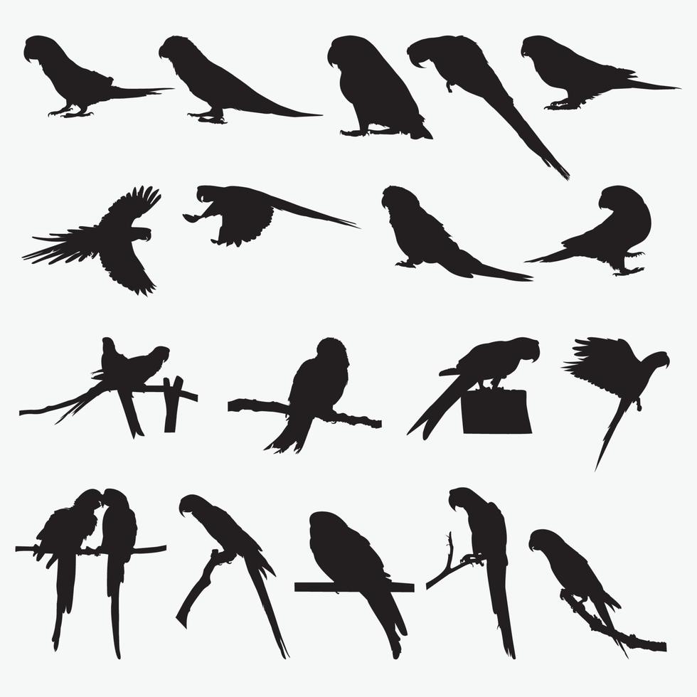 Parrot Silhouettes vector design templates set