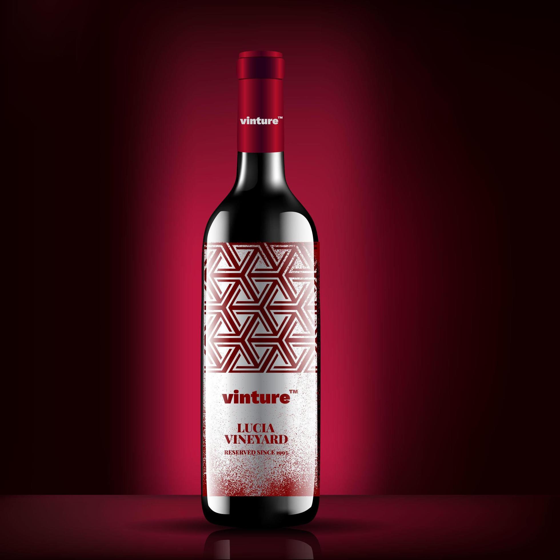 wine bottle vector, red wine bottle label concept design, colorful red