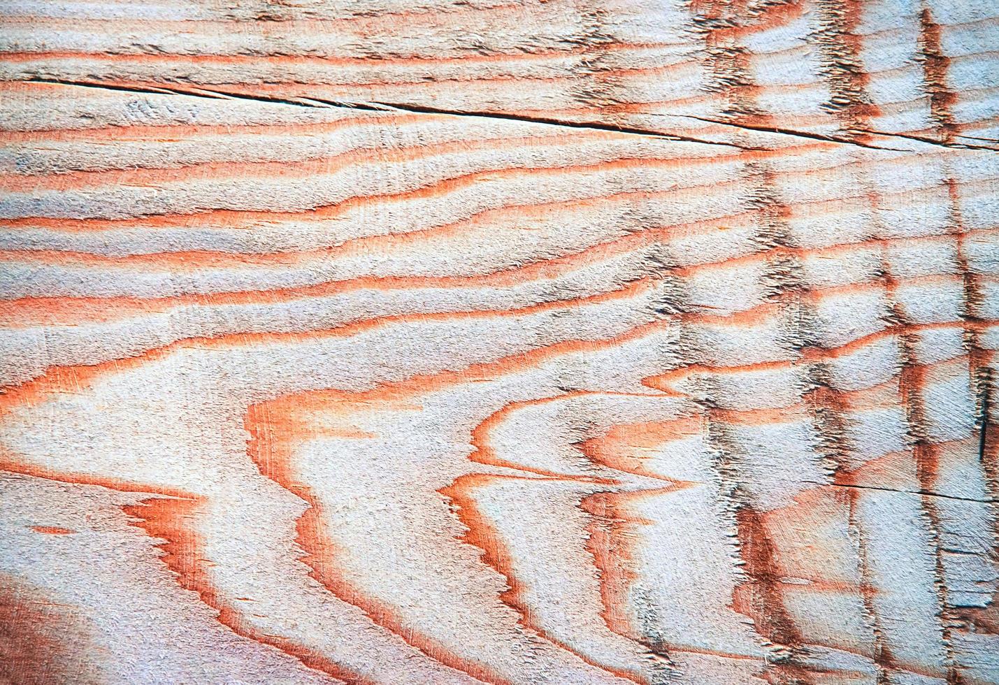 Detail of a rough wooden board with lines photo