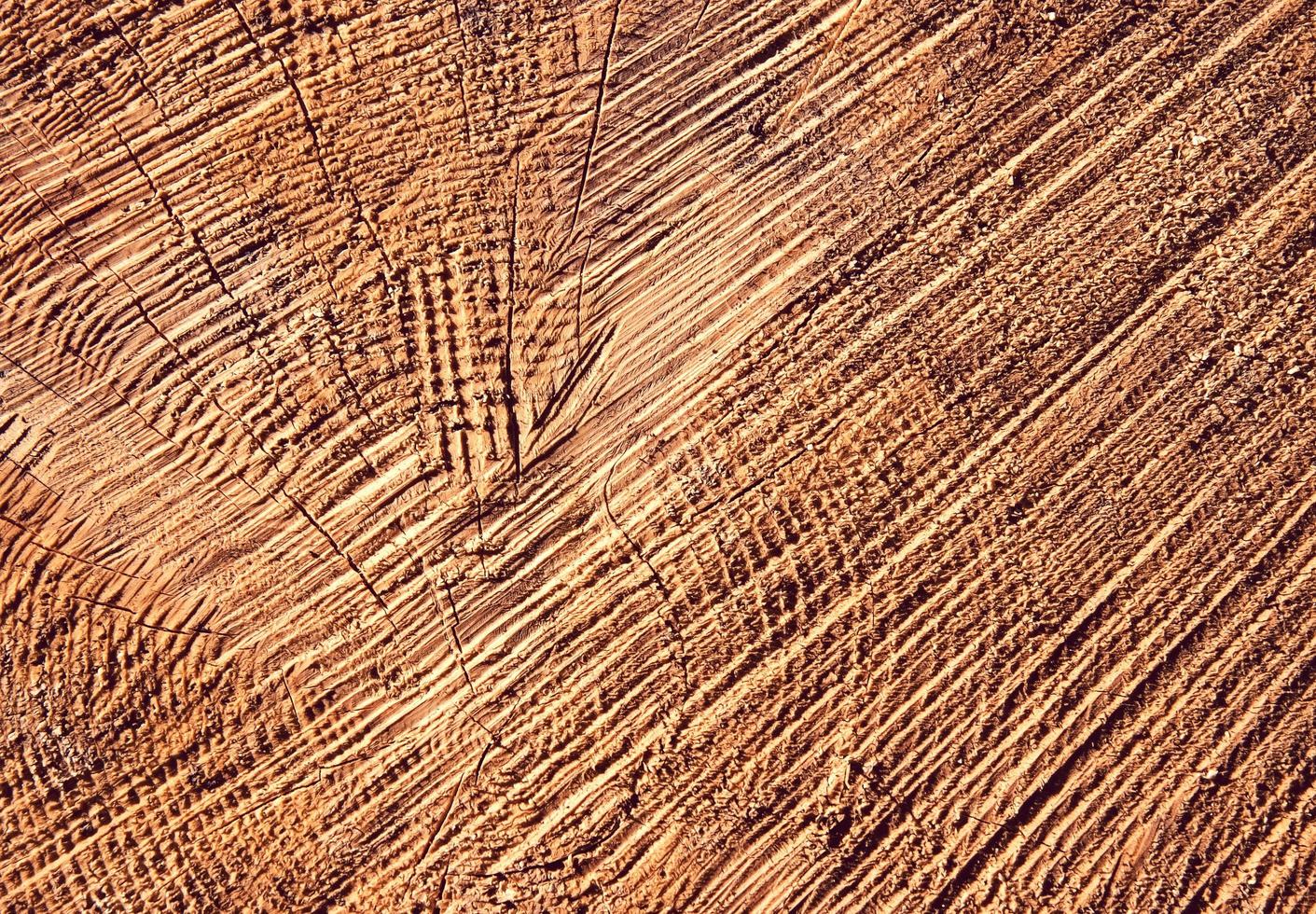 Detail of rough wood photo