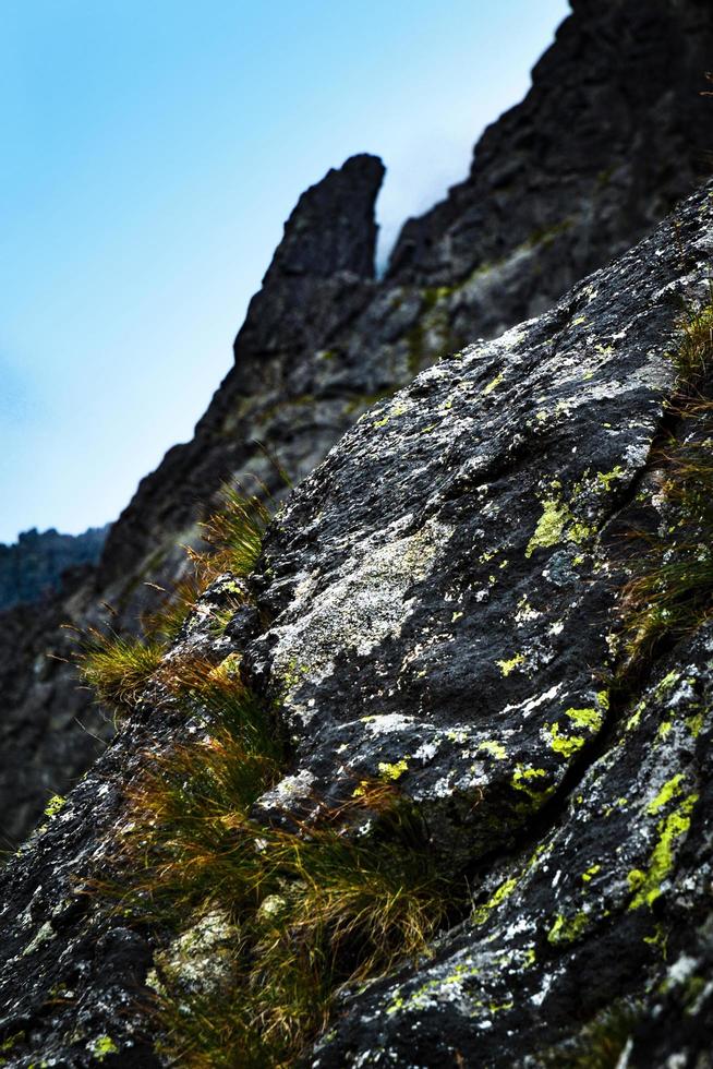 Detail of a mountain rock photo