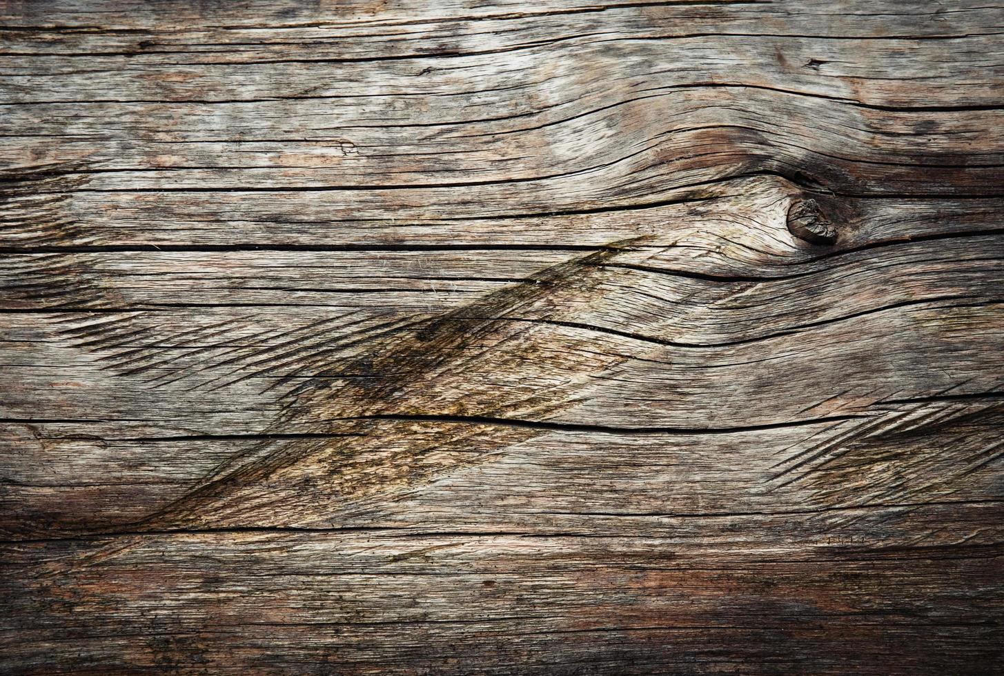 Detail of wooden tree trunk with grooves photo