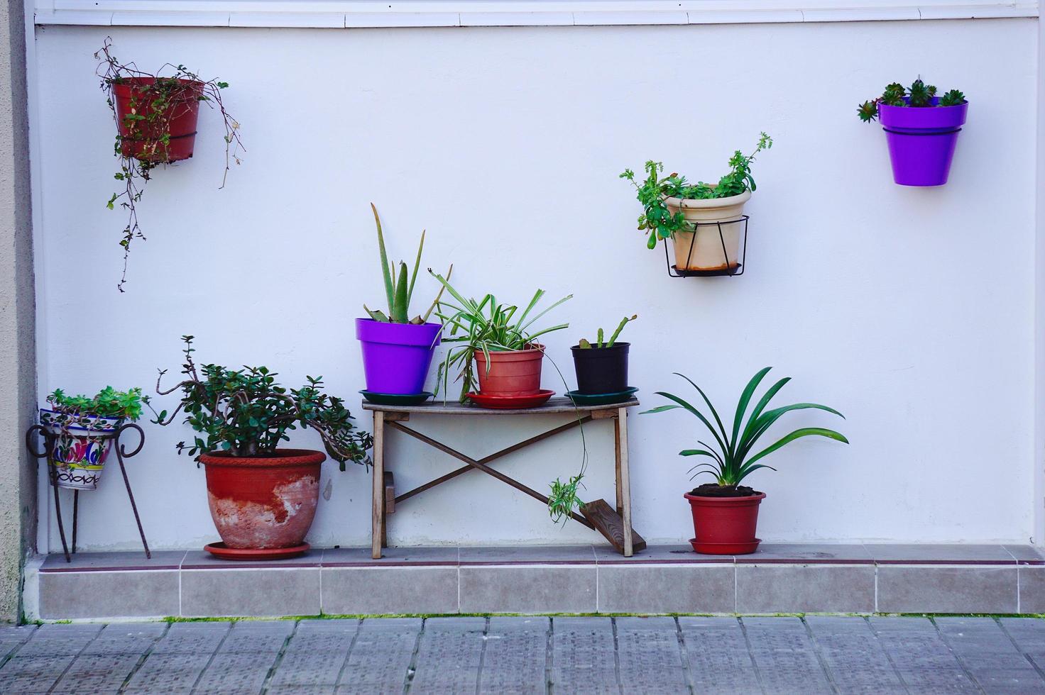 Flowers pots in the street photo