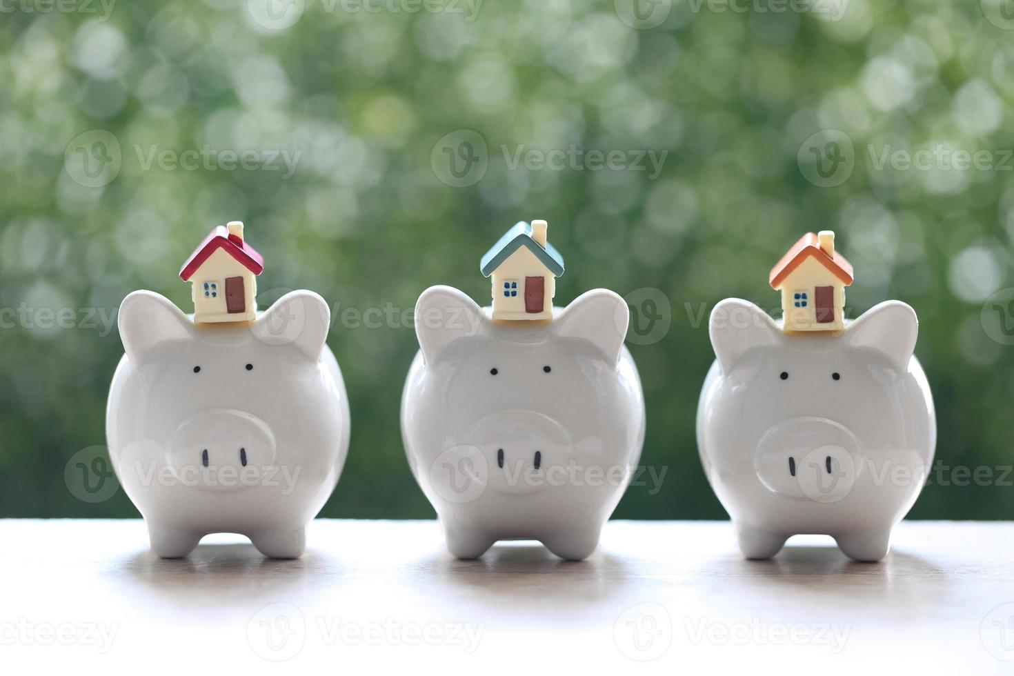 Piggy banks with model houses on a natural green background photo