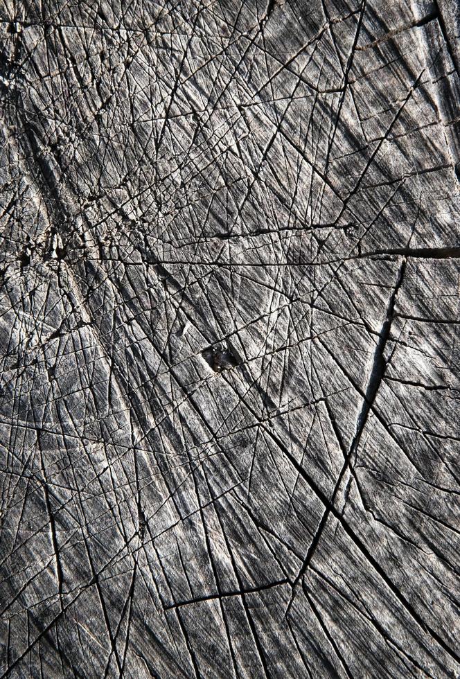 Rustic old gray wood photo