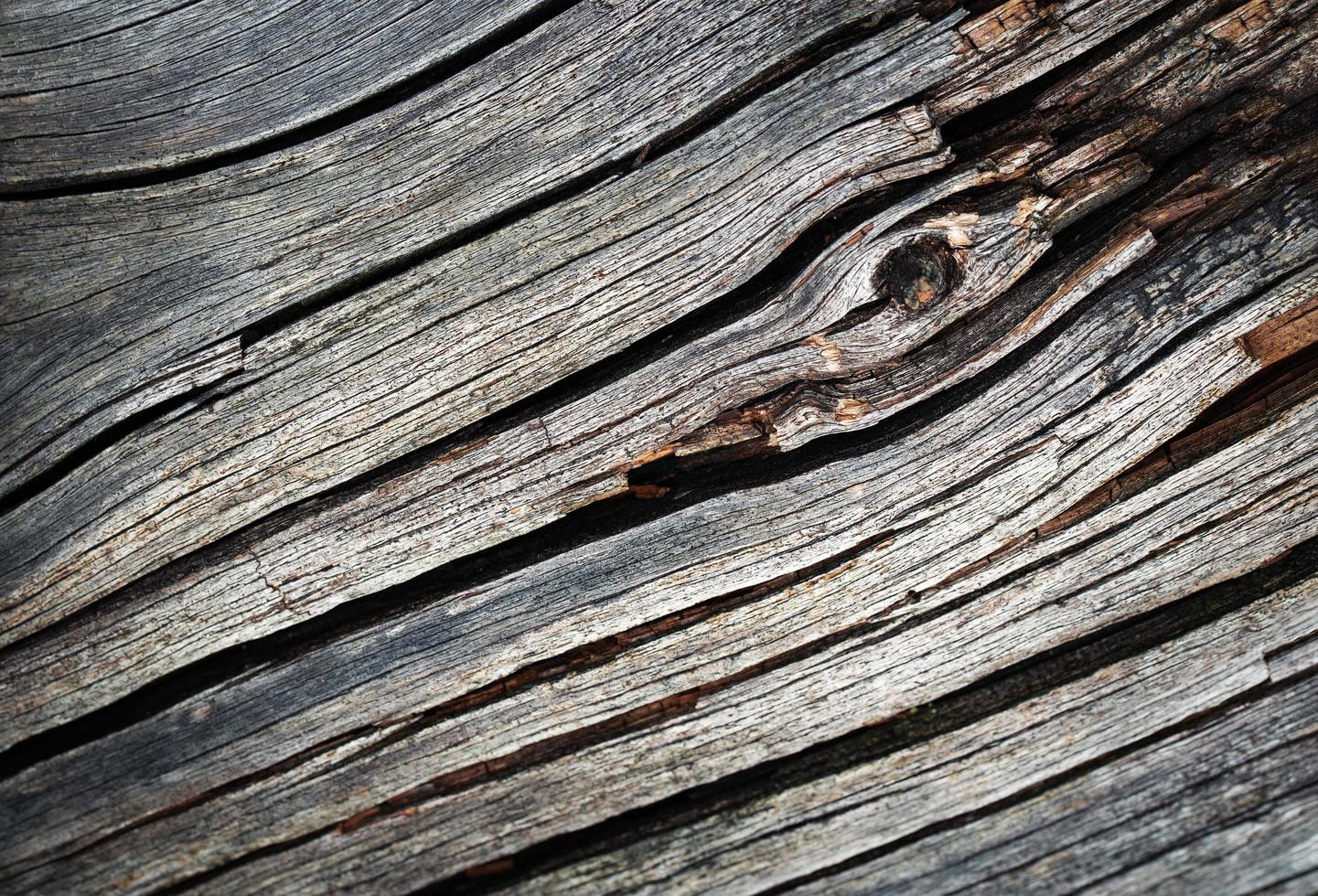 Detail of old wood photo