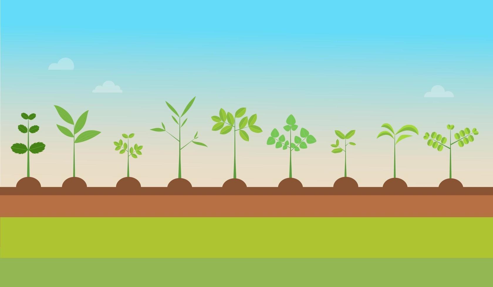 Los tipos de plantas crecen con la naturaleza background.vector illustration.seedling green trees.plants set on ground.jardín de árboles de semillero vector