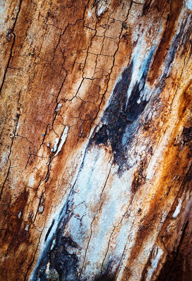 Old worn wood texture photo