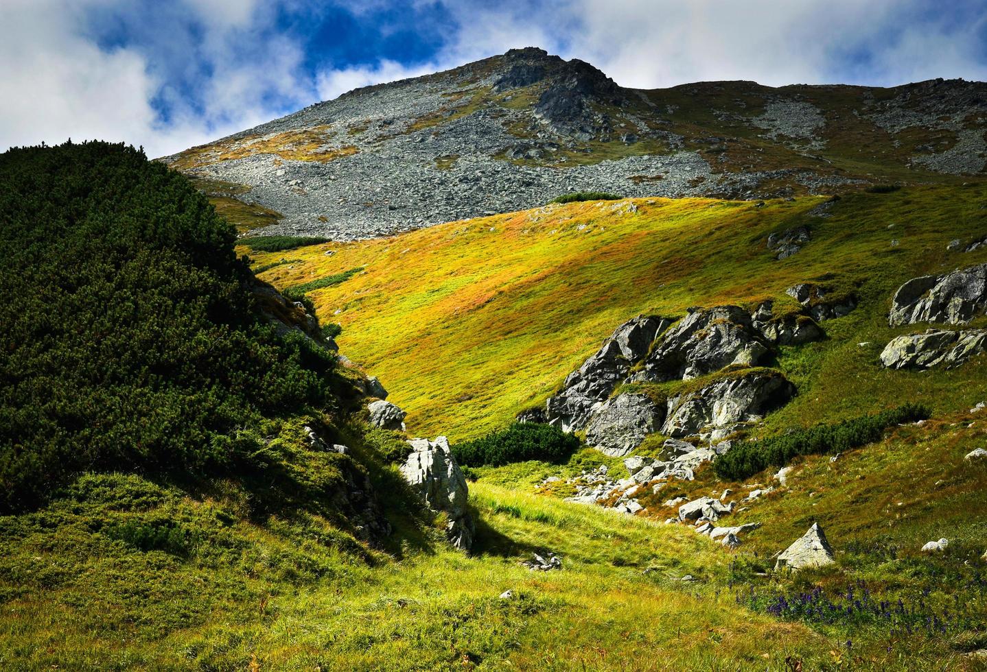 pasto verde en las montañas foto