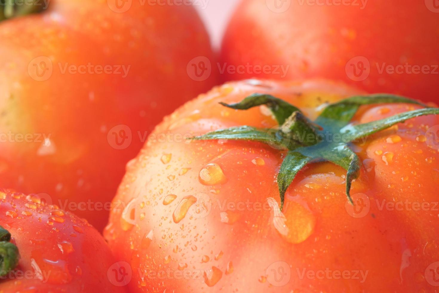 Fresh tomato with water drop close up photo