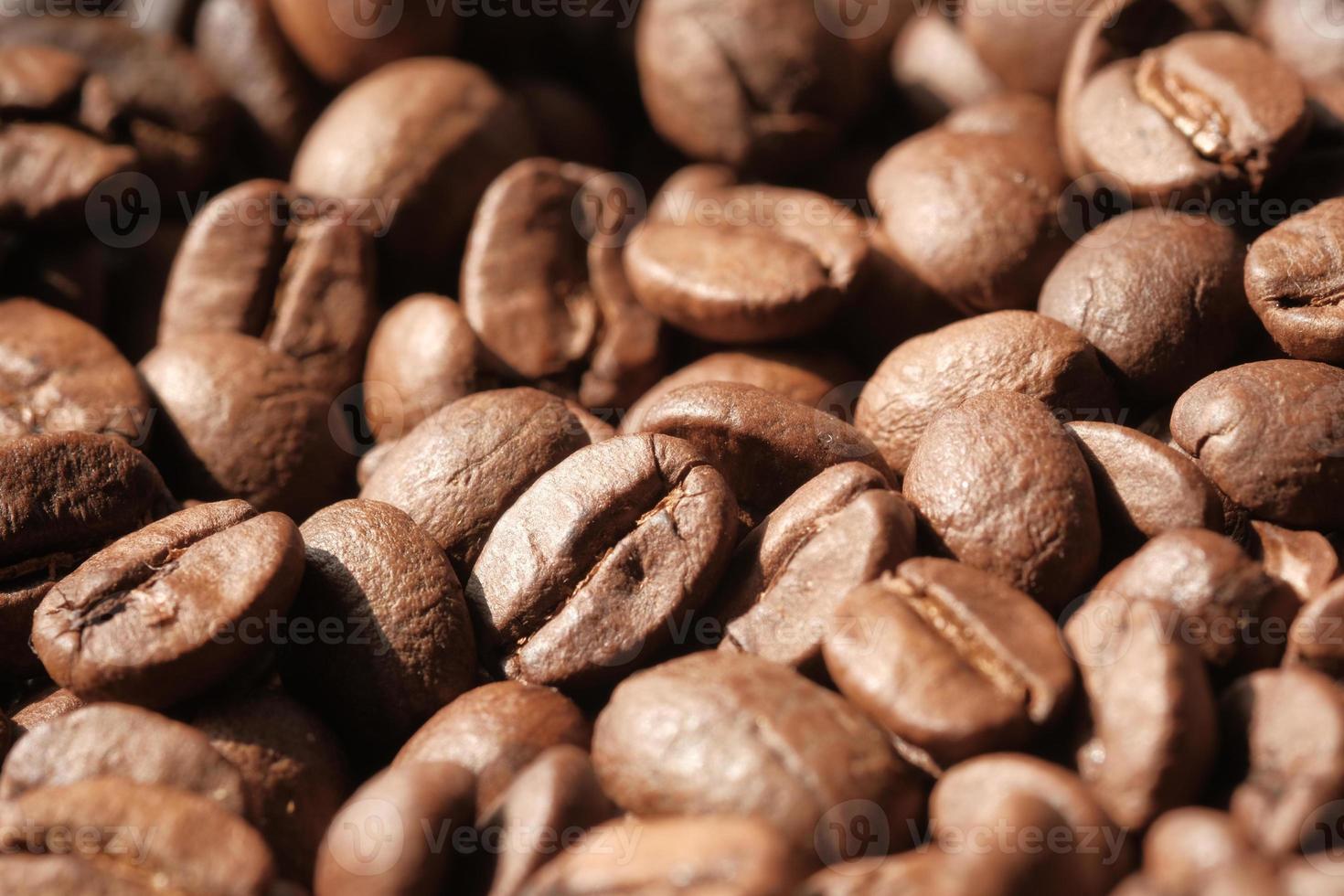 Fresh coffee beans photo