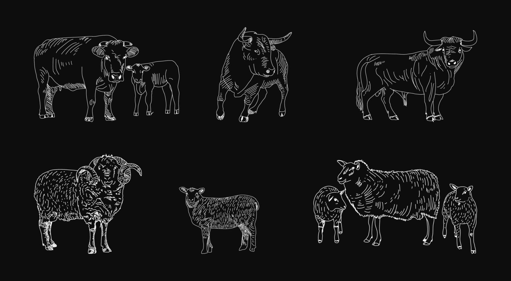 Butcher shop blackboard set with animals vector